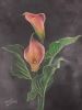 "Arum Lilies"