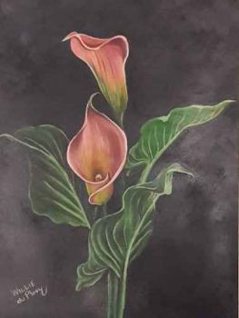 "Arum Lilies"