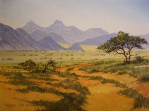"Namibian Dessert Road"