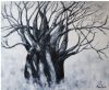 "Baobab Tree at Voctoria Falls"