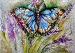 "Brenton Blue butterfly"