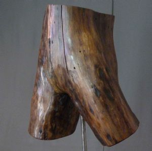"Torso Test"