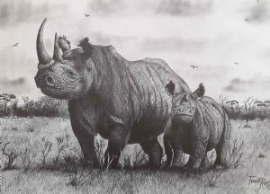 "Rhyno"
