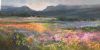 "Rush Hour, Namaqualand"