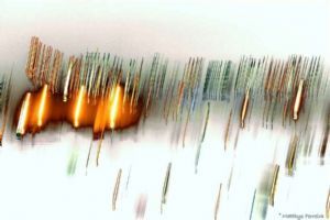 "Fireworks Abstract"