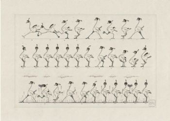 "Frame by Frame Race"