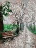 "White in the Park /  Amazing Pathway series"