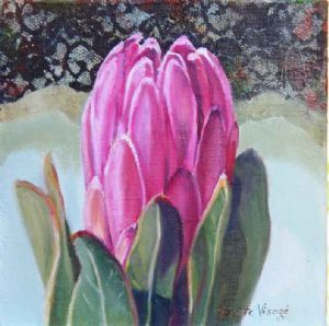 "Protea Sa National Flower"