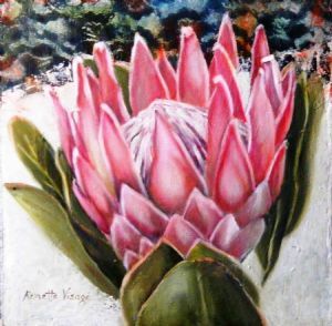 "Pin Protea, National Flower s.A."