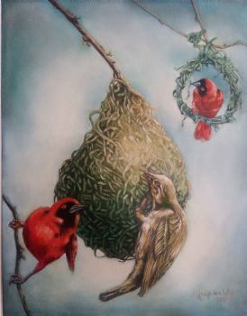 "Finches"
