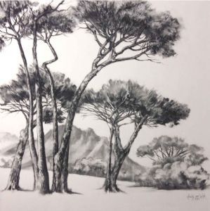 "Scottish Pines, Somerset West"