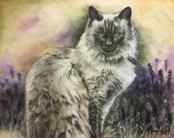 "The Cat's in the Lavendar Again"
