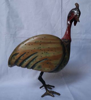 "Bird Study II"