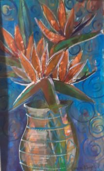"Strelitzia"
