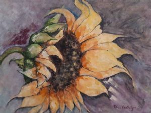"Sunny Side Up"