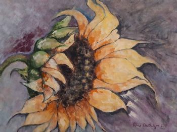 "Sunny Side Up"