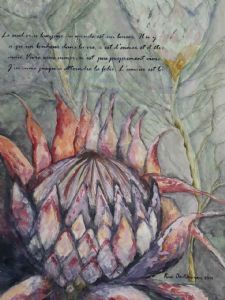 "Protea Affair"