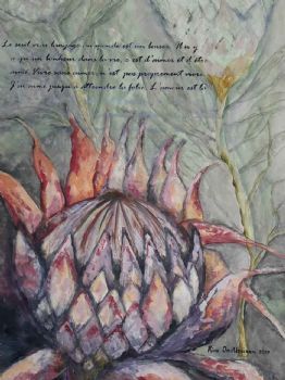 "Protea Affair"