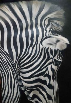 "Zebra Up Close "