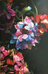 "Hydrangea"