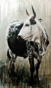 "Nguni Cow - Hester"