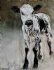 "Nguni Calf - Anke"