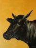 "Nguni Cow - Ella"