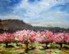 "Spring Orchard"