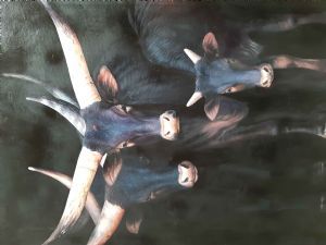 "Ankole Family"