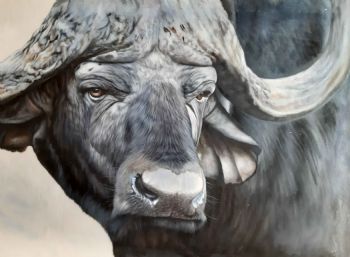 "Ramaposa"