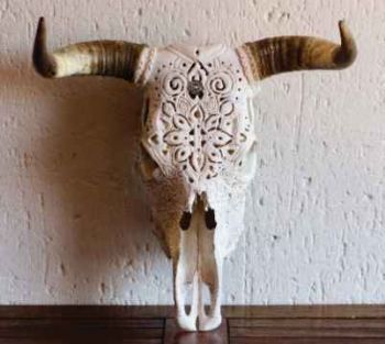 "Cow Skull,Carved,Back Lights"