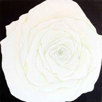 "Rose"