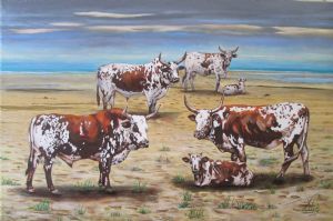 "Nguni cows on the beach 1"