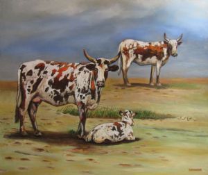 "Nguni cows on the beach 2"