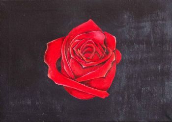 "Rose Love"