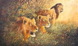 "Dusk Ambush - Lion"