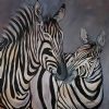 "Two Zebras"
