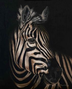 "Stripes"