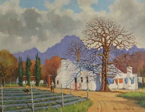 "Labourers' Cottages, Mooiberge"