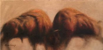"Bison Study"