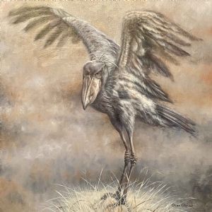 "Shoebill Nesting"