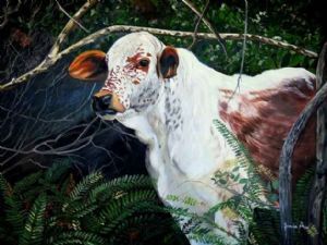"Nguni Calf"