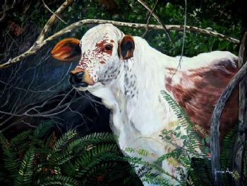 "Nguni Calf"