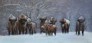 "Large Bison Family"
