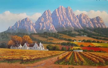 "Simonsberg  Winelands"
