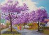 "Pretoria Jacarandas"