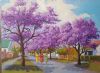 "Pretoria Jacarandas"