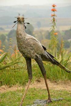 "Secretary Bird 2 Livesize "