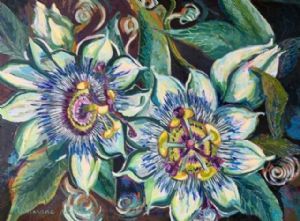 "Passion Fruit Flower"