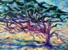 "Milkwood Tree Nr 1"